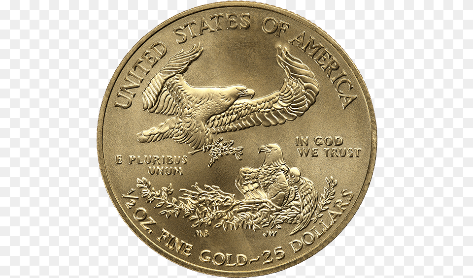 American Gold Eagle 12 Oz Common Date Coin, Money, Animal, Bird Free Png Download