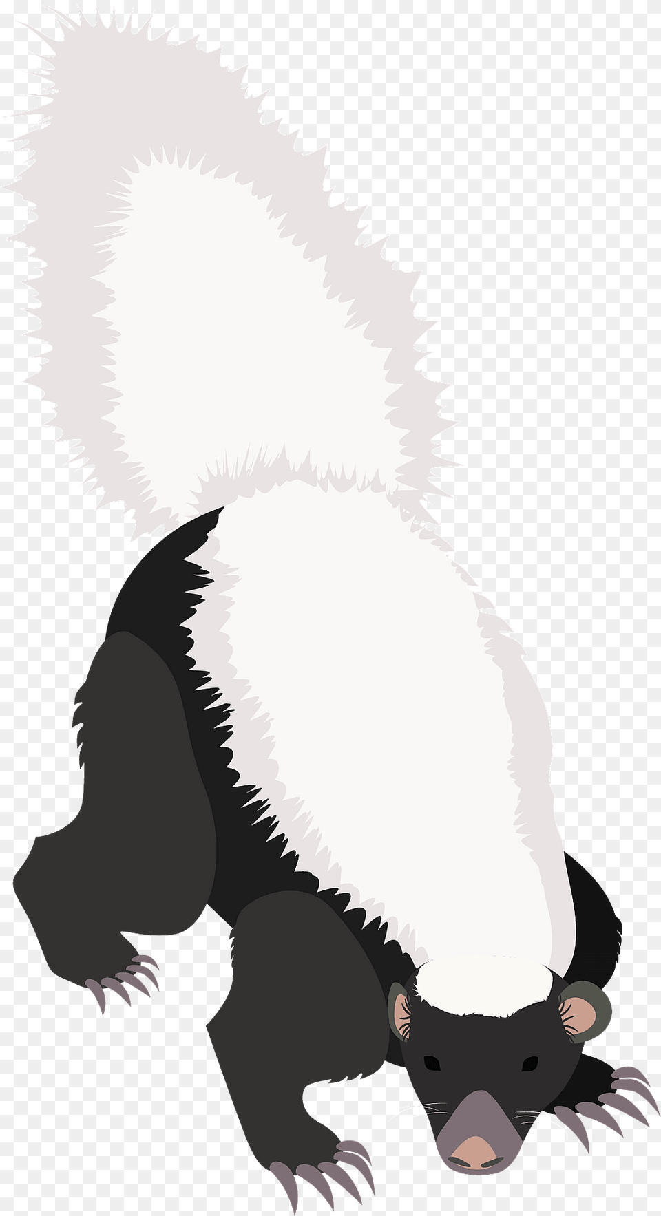American Hog Nosed Skunk Clipart, Animal, Mammal, Wildlife, Fish Png