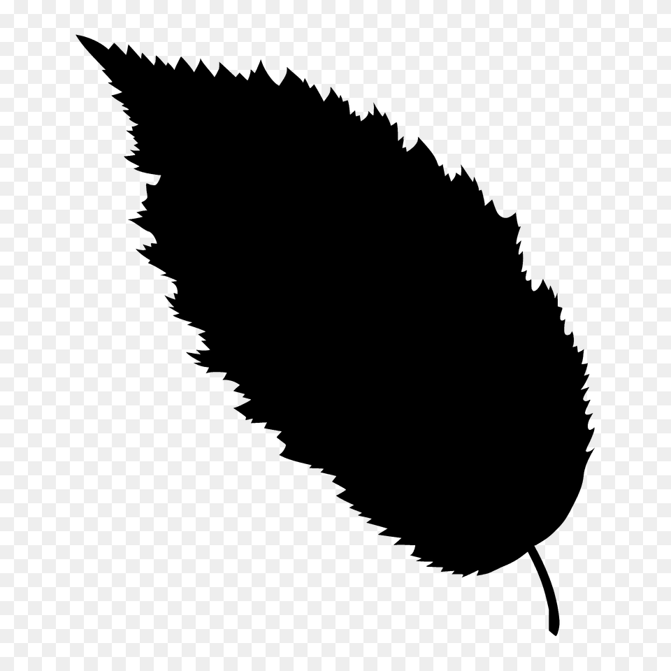 American Hornbeam Leaf Silhouette, Plant, Animal, Bird Png Image