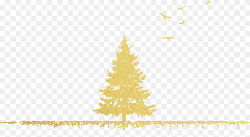 American Larch, Plant, Tree, Fir, Conifer Png Image