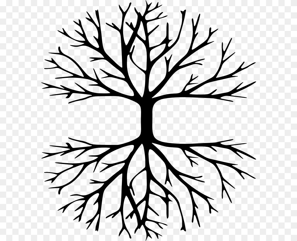 American Larchwhite Pineplant Tree Drawing With Message, Gray Png