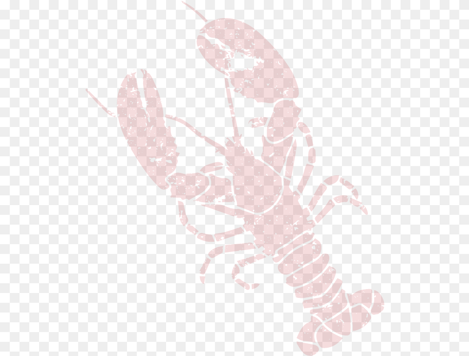 American Lobster, Animal, Sea Life, Invertebrate, Seafood Png Image