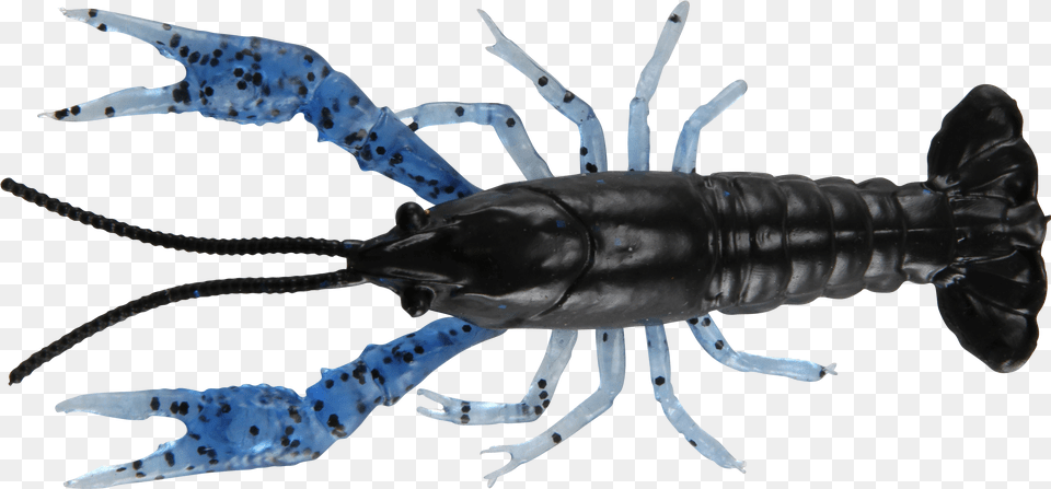 American Lobster, Food, Seafood, Animal, Sea Life Png Image