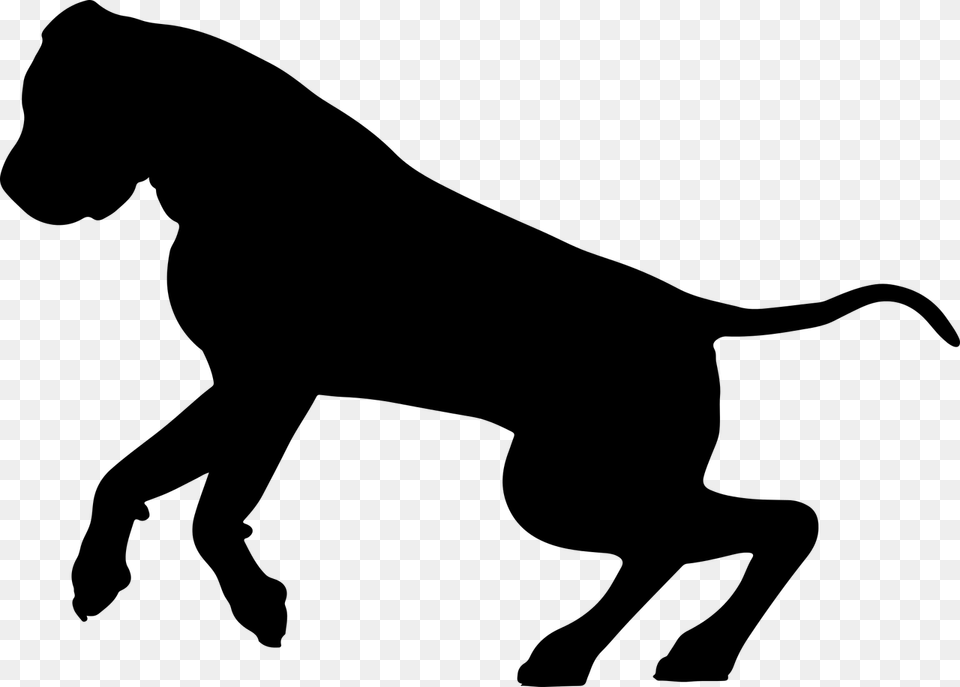 American Mastiff Mastiff Dog Picture Mastiff Dog Silhouette, Gray Png