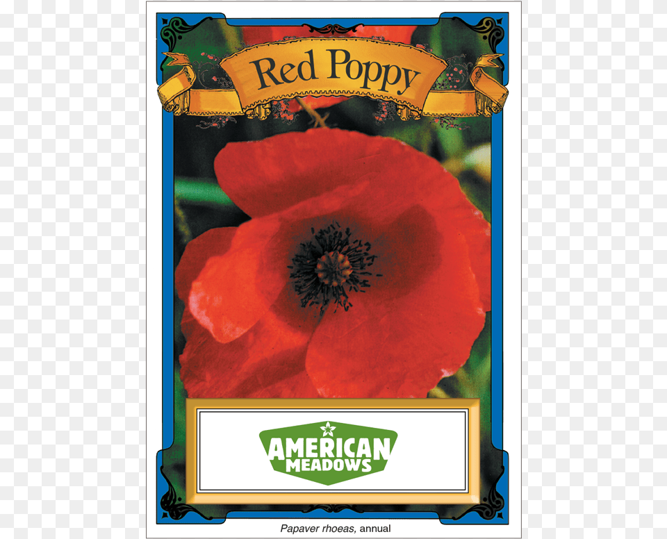 American Meadows, Flower, Plant, Poppy, Rose Free Transparent Png