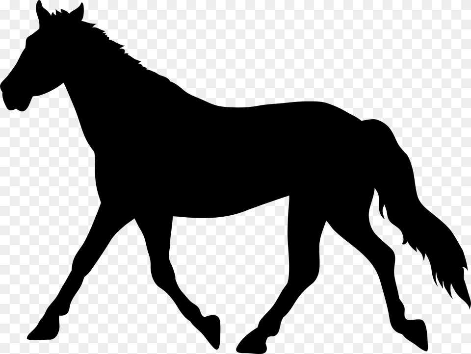 American Paint Horse Clip Art, Gray Png Image