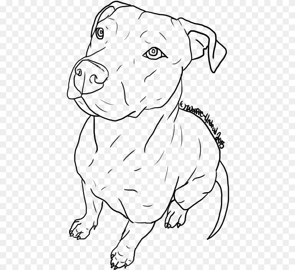 American Pit Bull Terrier Puppy Drawing Line Art Cute Drawings Of Pit Bulls, Gray Png Image