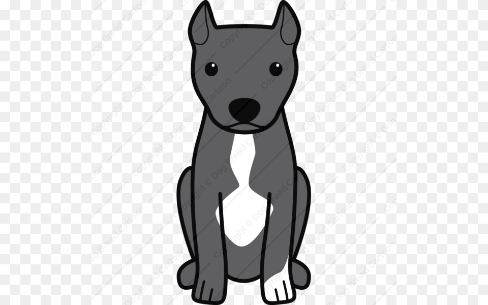 American Pitbull Terrier Cropped Ears Black Edition Dog Breed, Snout, Animal, Bulldog, Canine Free Png Download