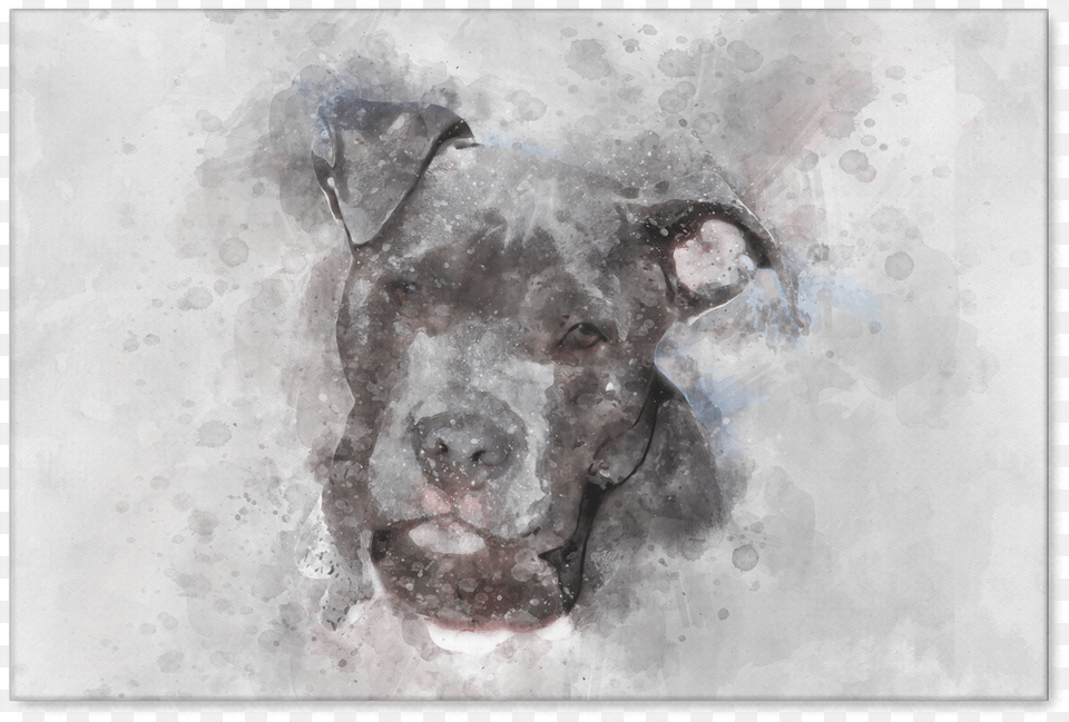 American Pitbull Watercolor On Canvas American Pit Bull Terrier, Animal, Pet, Canine, Dog Png Image
