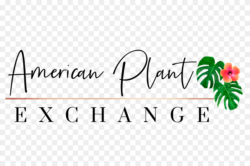 American Plant Exchange Logo, Flower, Leaf, Petal, Vegetation Free Png