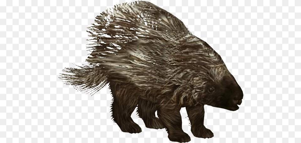 American Porcupine Zoo Tycoon 2 Porcupine, Animal, Mammal, Rodent, Hedgehog Png
