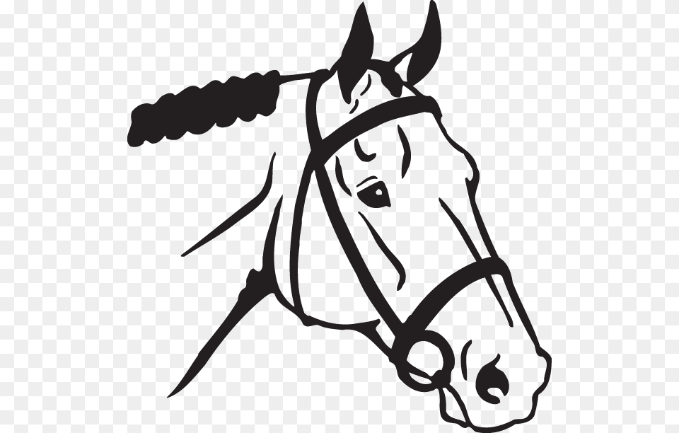 American Quarter Horse Arabian Horse Horse Head Mask Horse Head Stencil, Halter, Animal, Mammal, Invertebrate Free Transparent Png