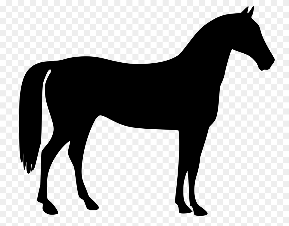 American Quarter Horse Silhouette Drawing, Gray Free Png
