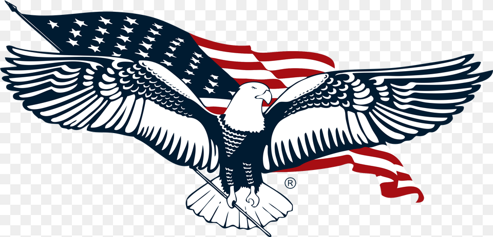 American Realty Brokers, American Flag, Flag, Animal, Fish Free Png