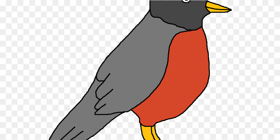 American Robin Clipart Robbin Adlie Penguin, Animal, Beak, Bird, Person Png Image