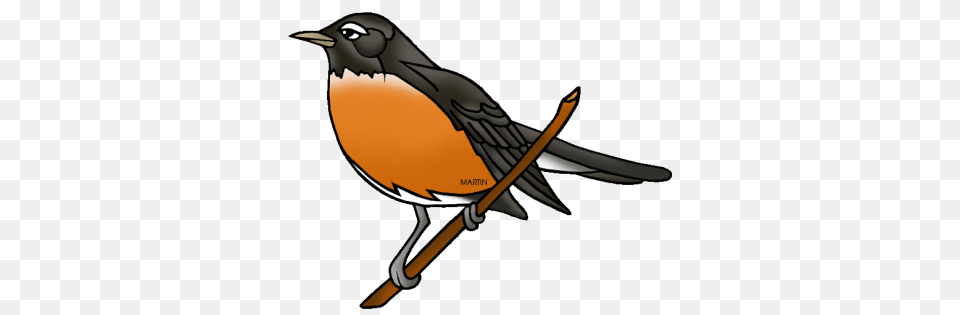 American Robin Transparent Image For Free Download Dlpng, Animal, Bird, Smoke Pipe Png