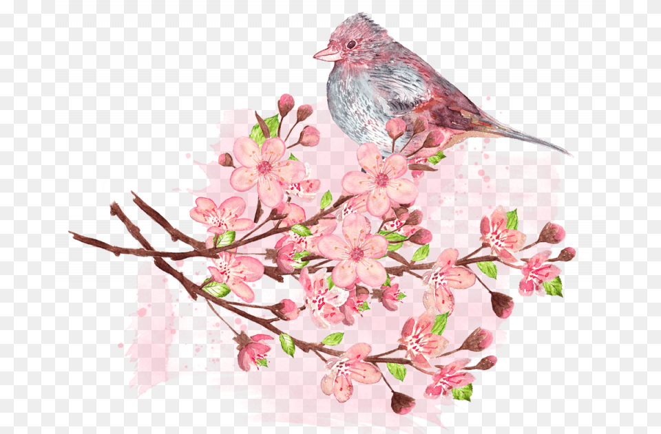 American Rosefinches, Animal, Bird, Finch, Flower Free Transparent Png