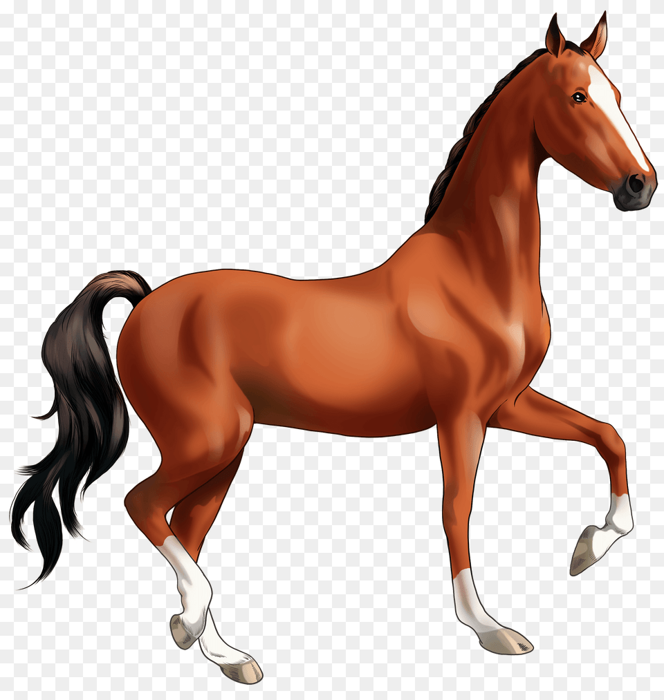 American Saddlebred Clipart, Animal, Colt Horse, Horse, Mammal Png Image