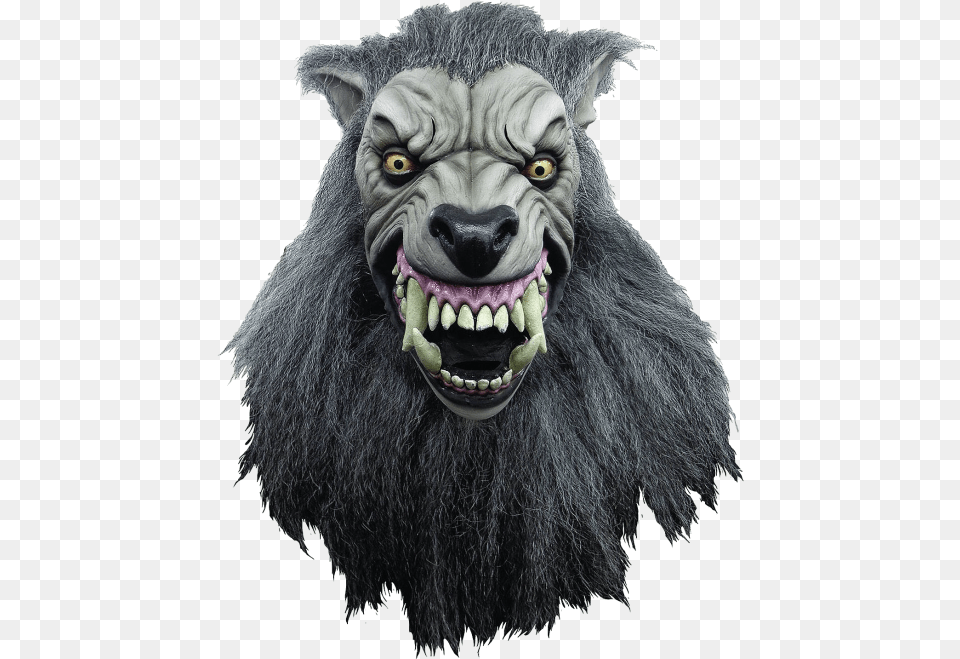 American Werewolf In London Trick Or Treat Studios, Animal, Bear, Mammal, Wildlife Png Image