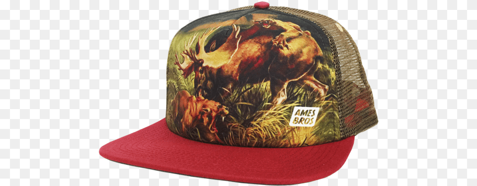 Ames Bros Altercation Trucker Snapback Hat Hat, Baseball Cap, Cap, Clothing Free Png Download