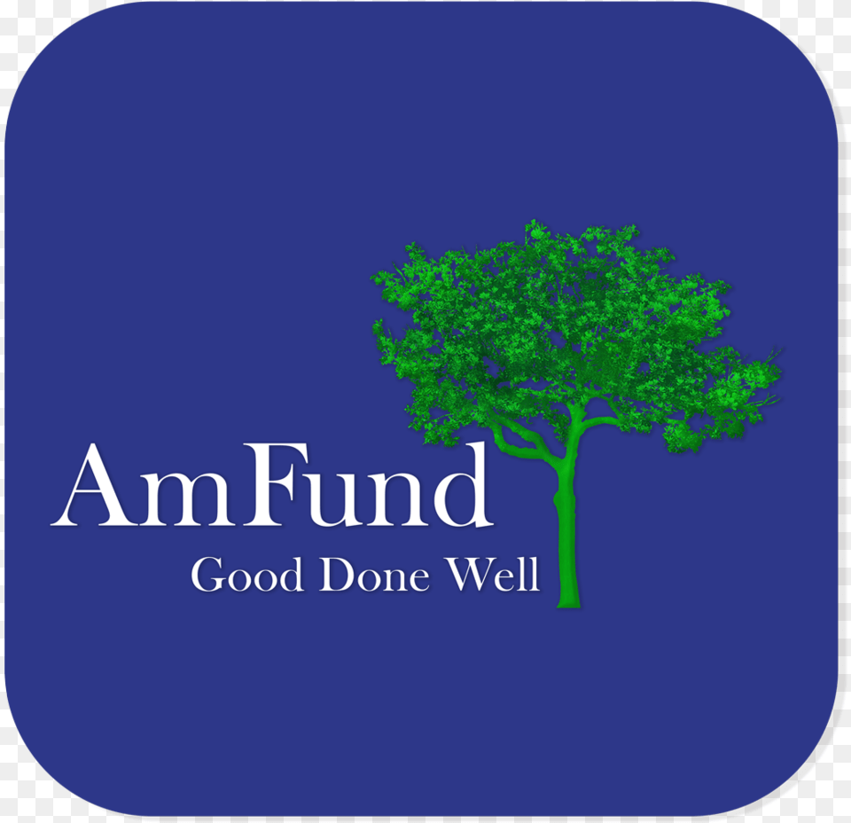 Amfund Logo Build Blue Background 2017, Plant, Vegetation, Tree, Oak Free Transparent Png