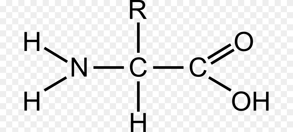 Amino Acid General, Gray Free Transparent Png