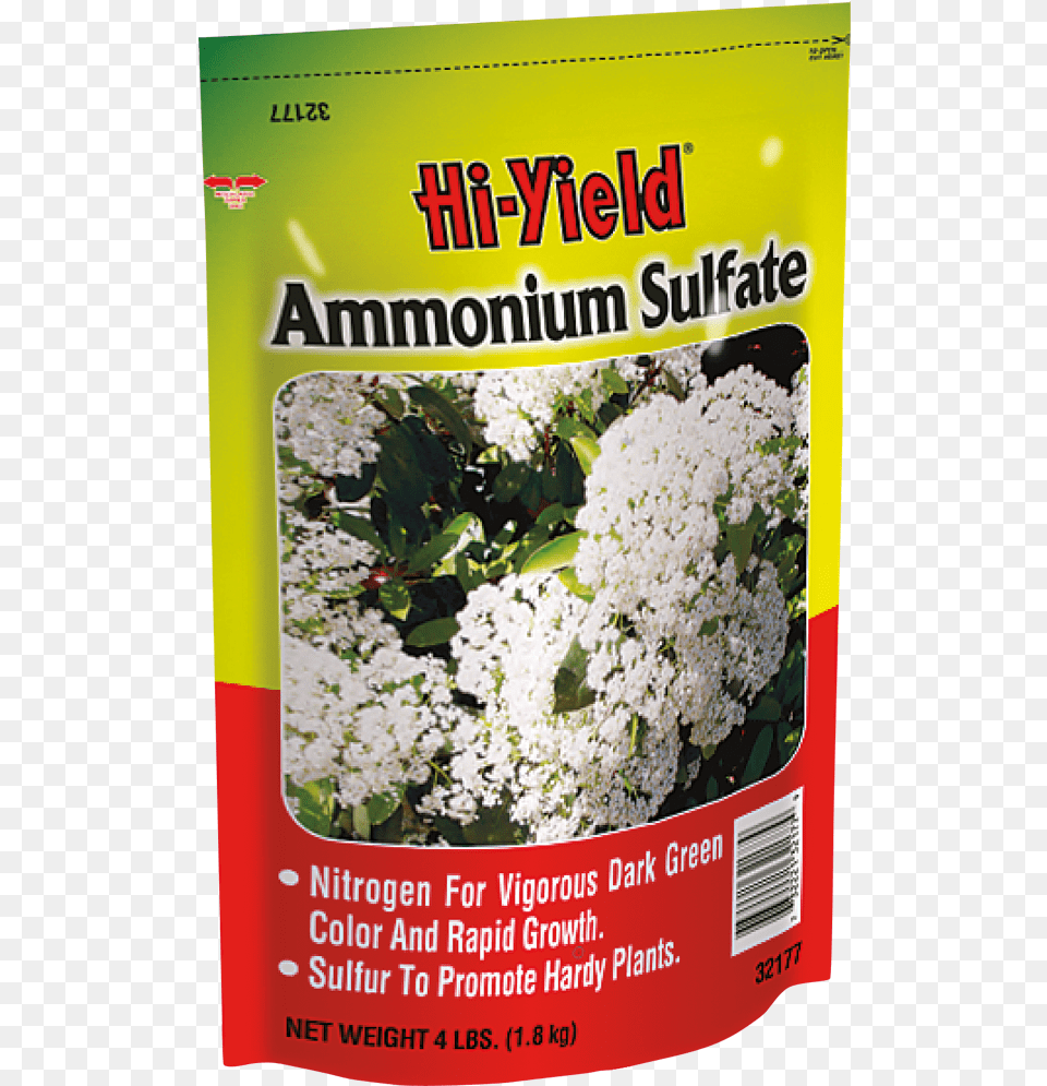 Ammnium Szulft, Flower, Herbal, Herbs, Plant Free Png