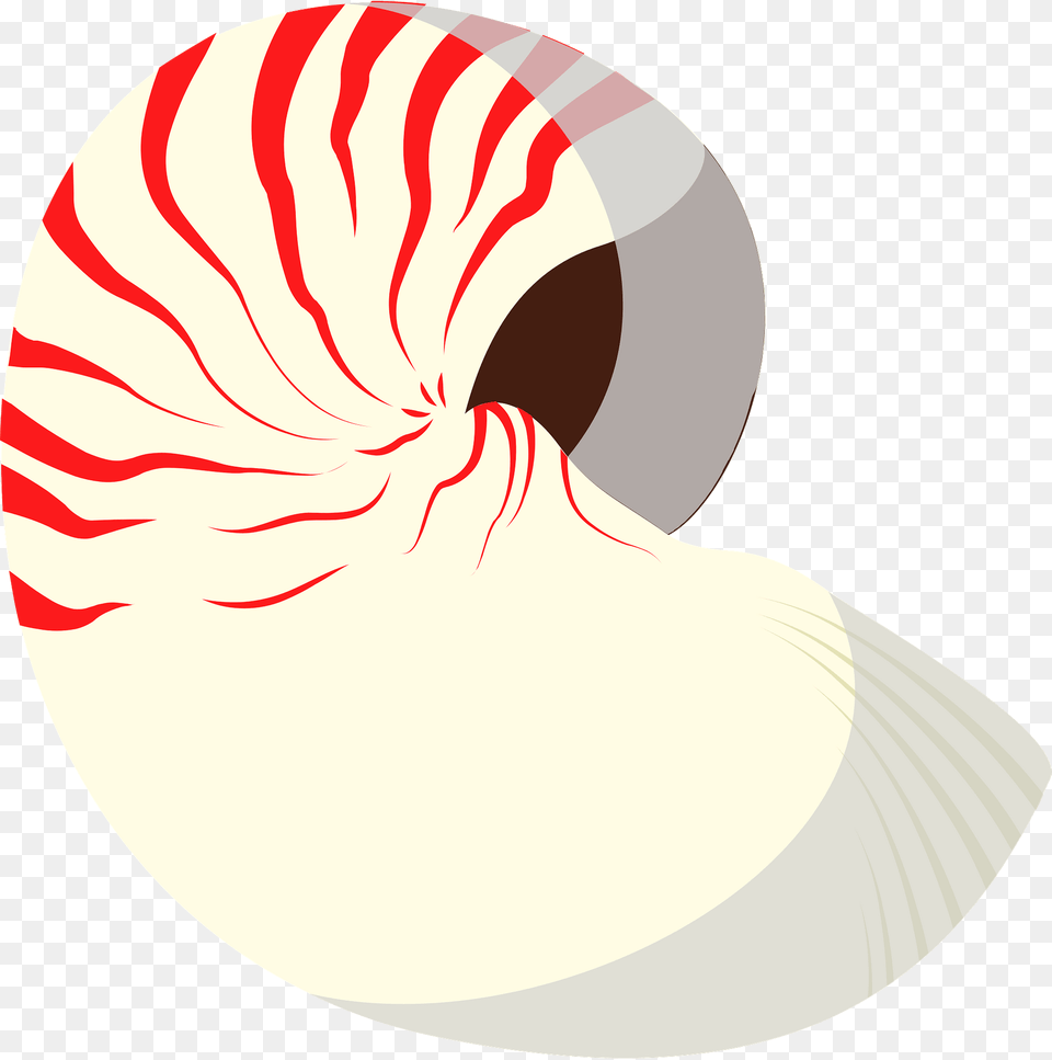 Ammonite Shell Clipart, Animal, Clam, Food, Invertebrate Free Png