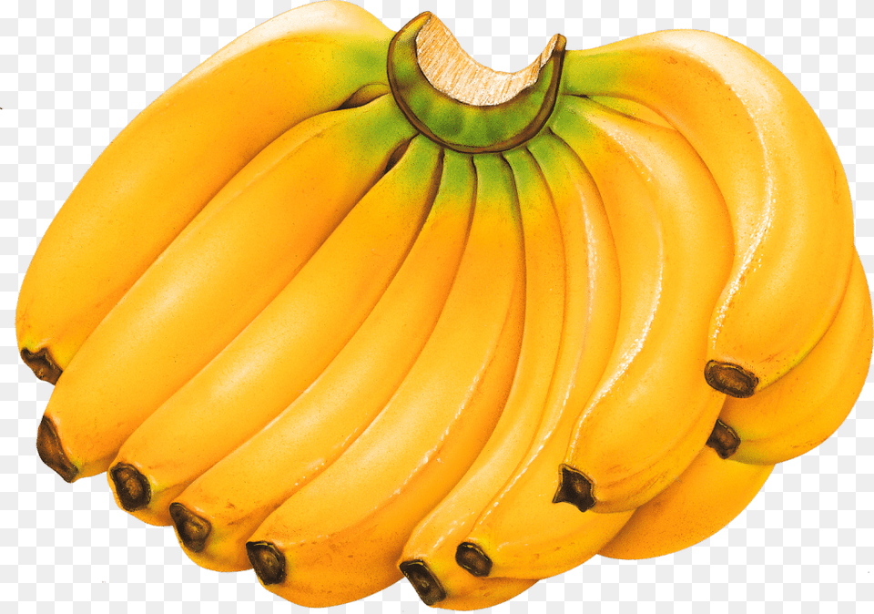 Among Banana Of Fruits, Food, Fruit, Plant, Produce Free Png