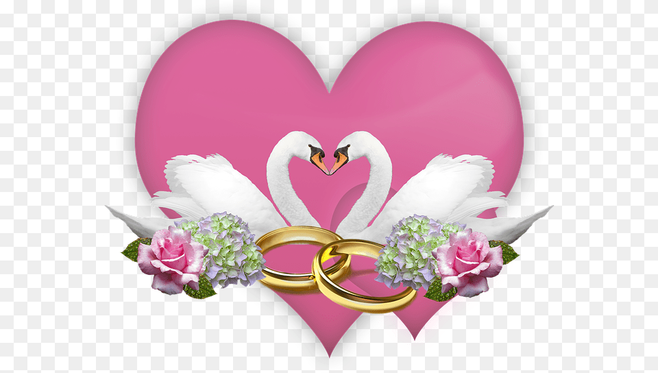 Amor Boda Anillos Deco Cisnes Rosas Hortensias Wil Je Met Me Trouwen, Flower, Plant, Rose, Accessories Png