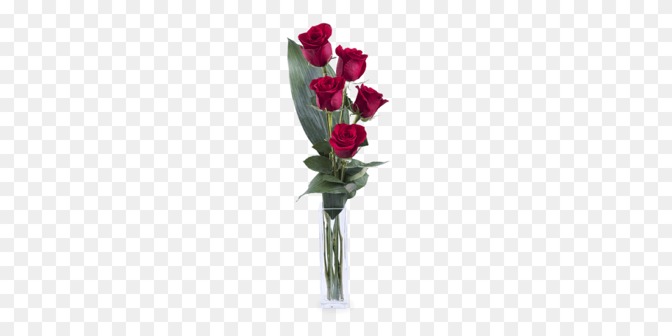 Amor E Elegancia Rosas Rojas, Flower, Flower Arrangement, Flower Bouquet, Jar Png