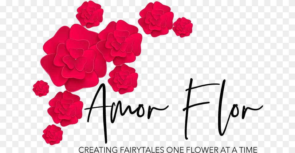 Amor Flor Logo Flower, Geranium, Petal, Plant, Rose Free Png Download