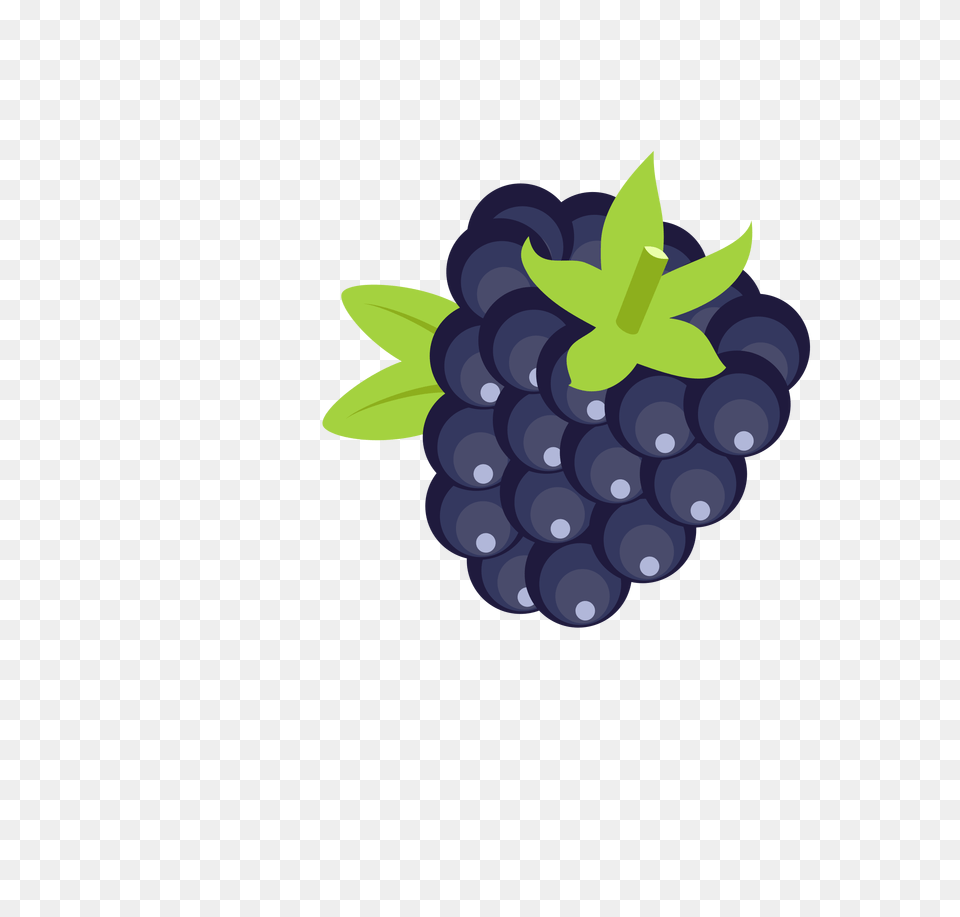 Amora Blackberry Icons, Berry, Blueberry, Food, Fruit Png Image