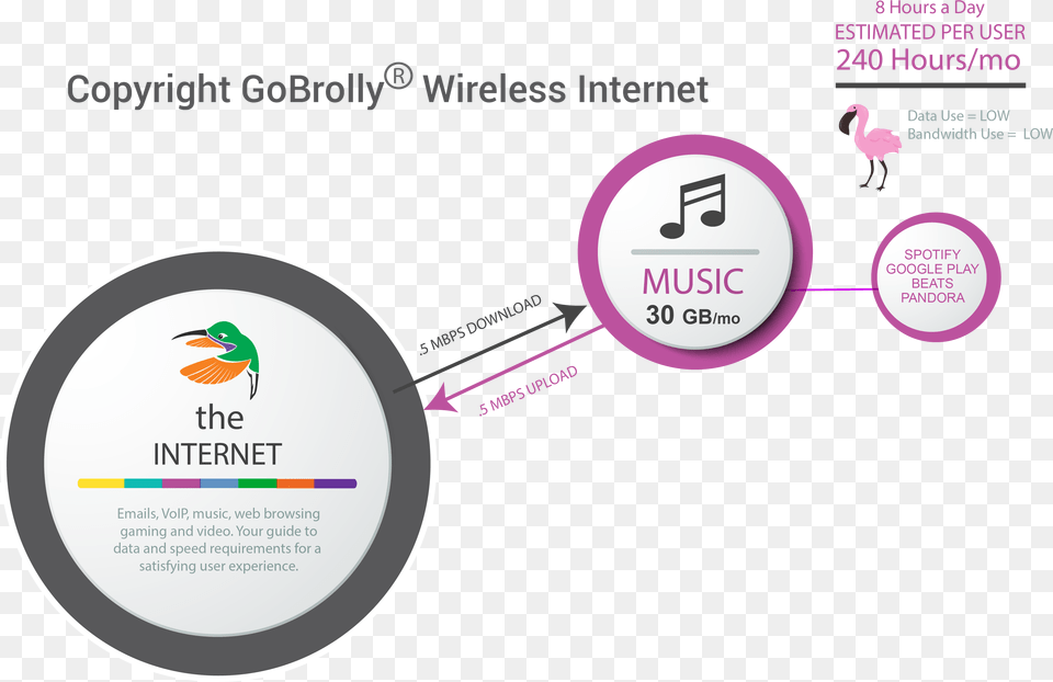 Amount Of Data And Bandwidth Required For Streaming Circle, Advertisement, Poster, Animal, Bird Png Image
