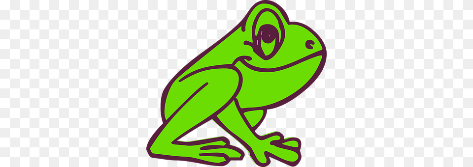 Amphibian Animal, Frog, Wildlife Png