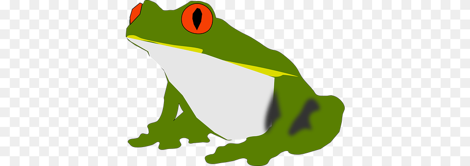 Amphibian Animal, Frog, Wildlife, Baby Free Png