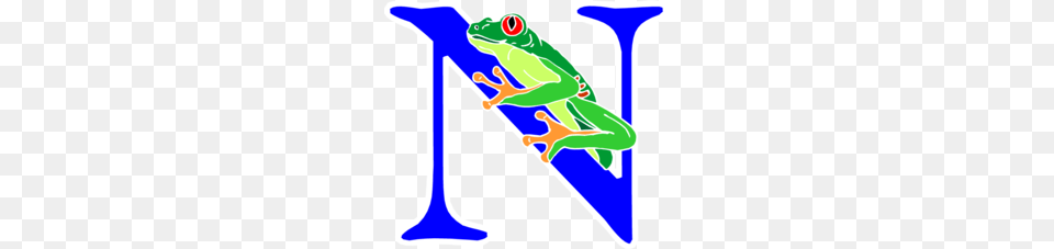 Amphibian Clipart, Animal, Frog, Wildlife, Tree Frog Png Image
