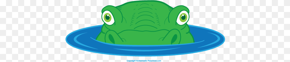 Amphibian Clipart Alligator Head, Green Free Transparent Png