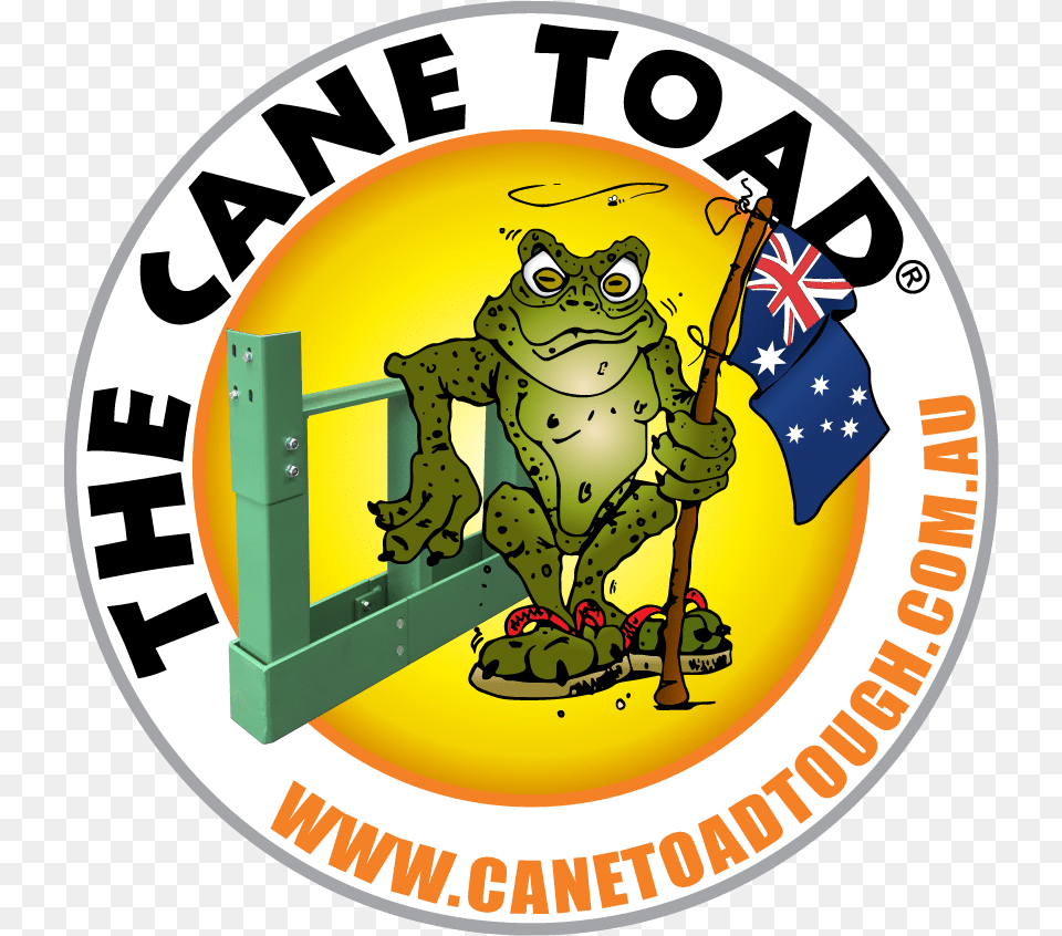 Amphibian Clipart Cane Toad Cartoon, Photography, Baby, Person, Animal Free Png Download