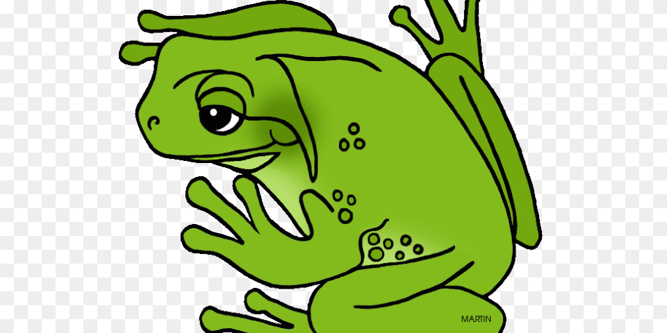 Amphibian Clipart Frog, Animal, Wildlife, Baby, Person Png Image