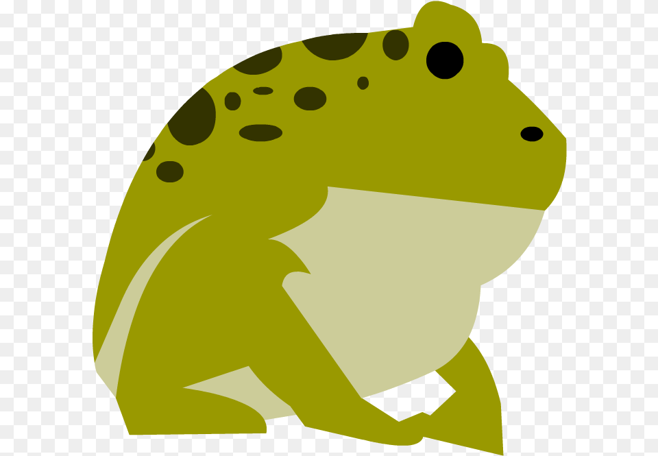 Amphibians Science, Amphibian, Animal, Frog, Wildlife Free Transparent Png