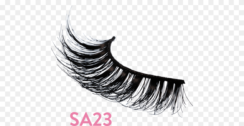 Amplified Lash Sa23 Eyelash Extensions, Accessories Free Transparent Png