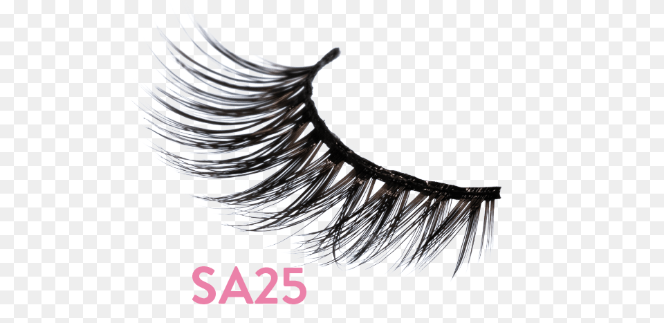 Amplified Lash Sa25 Eyelash Extensions, Plant, Tree, Art, Graphics Free Png Download