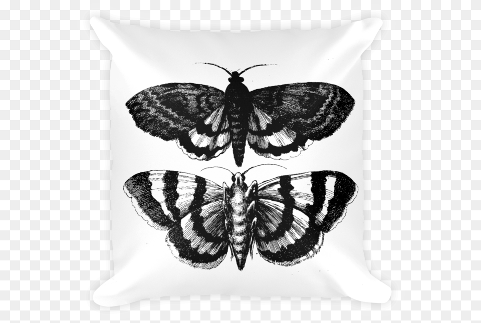Ampltbutterflies And Various Insectsampgt, Cushion, Home Decor, Animal, Insect Free Transparent Png