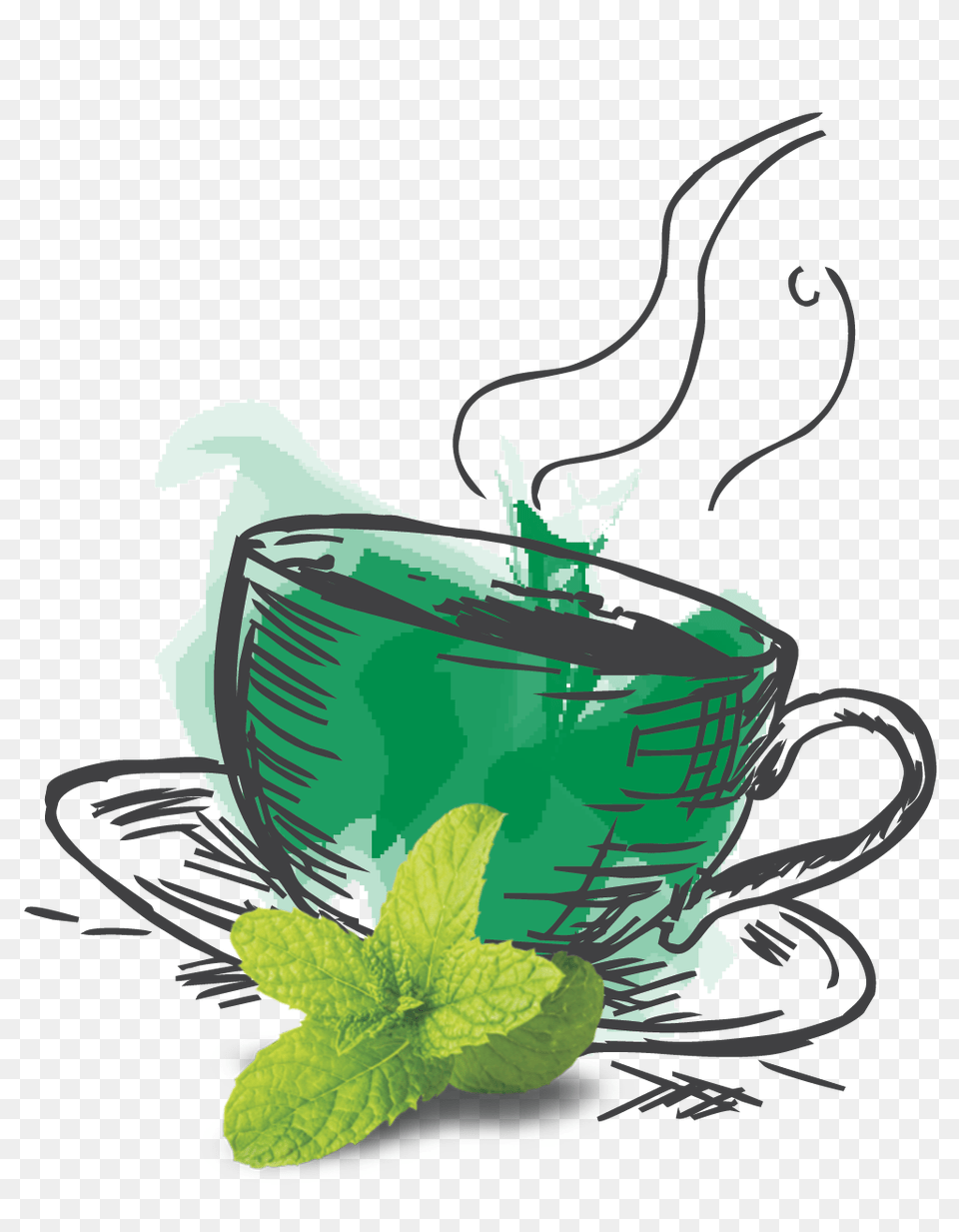 Amratam Spearmint Green Tea, Herbal, Herbs, Mint, Plant Free Png Download