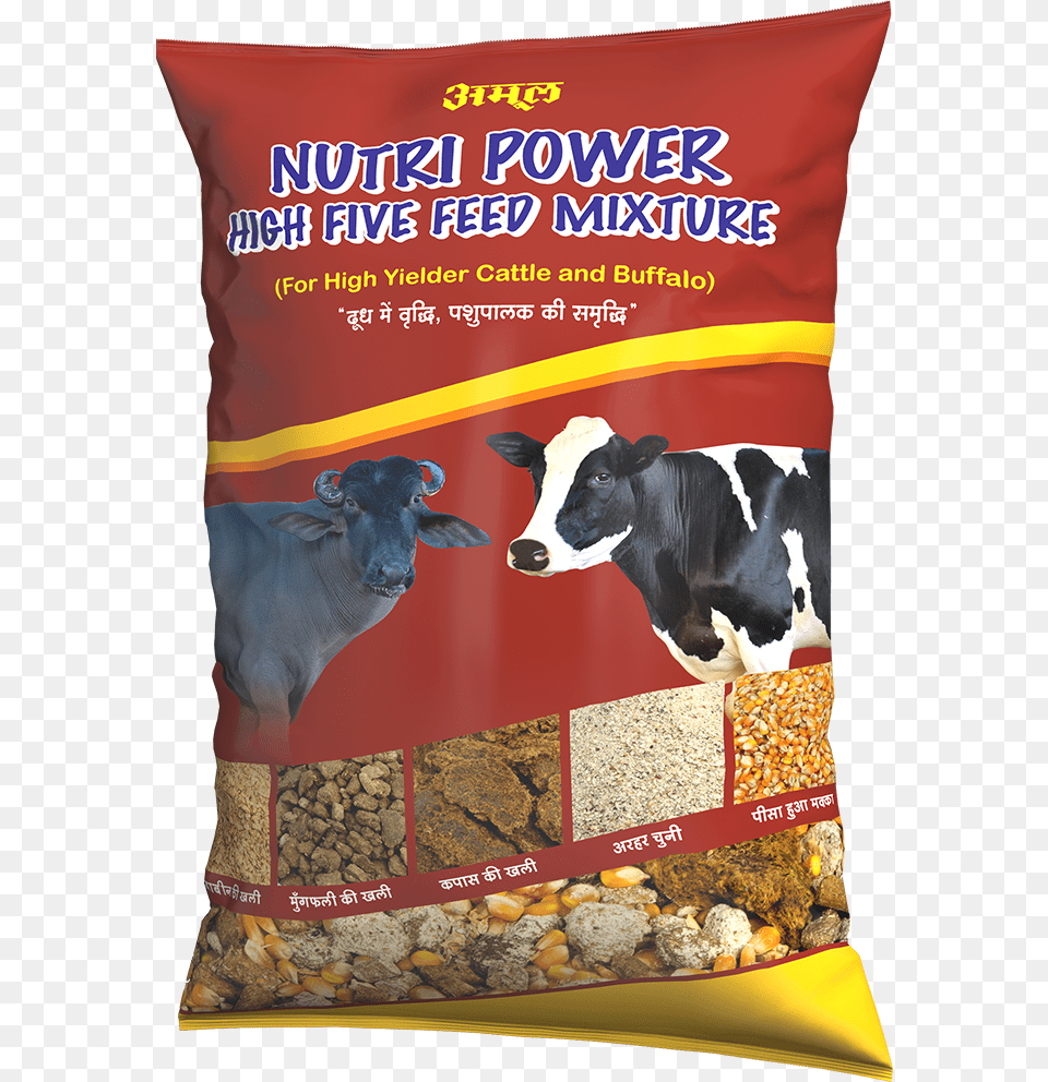 Amul Cattle Feed Amul Feed, Animal, Cow, Livestock, Mammal Free Transparent Png
