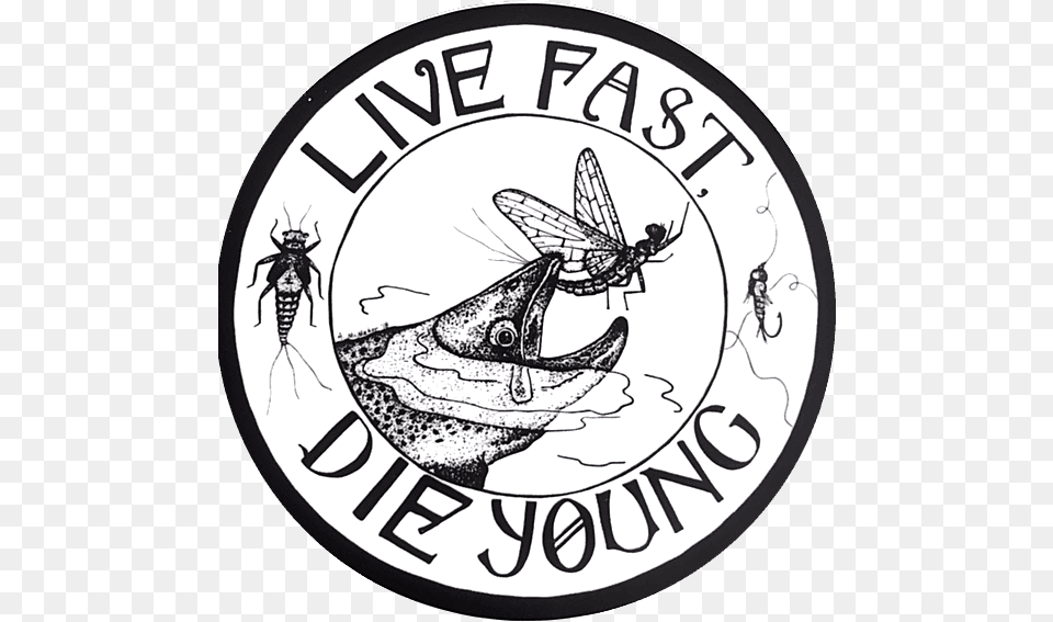 Amy Mcmahon Live Fast Die Young Sticker Cartoon, Animal, Bee, Insect, Invertebrate Free Png