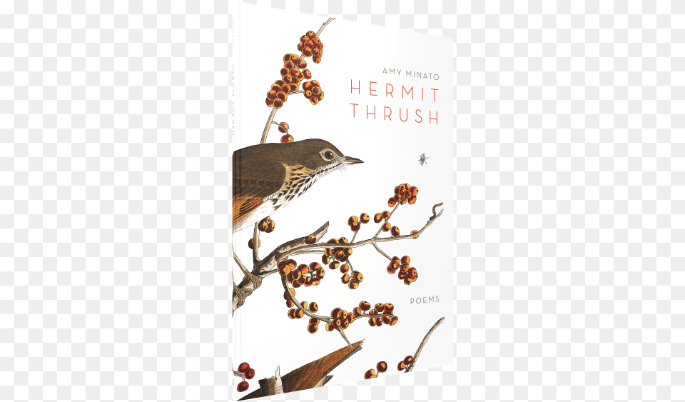 Amy Minato Featured In The Statesman Journal Hermit Thrush Book, Animal, Anthus, Bird, Beak Free Png Download