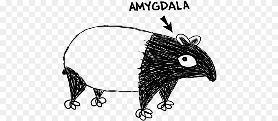 Amygdalatapir New World Porcupine, Animal, Mammal, Blackboard Free Png Download