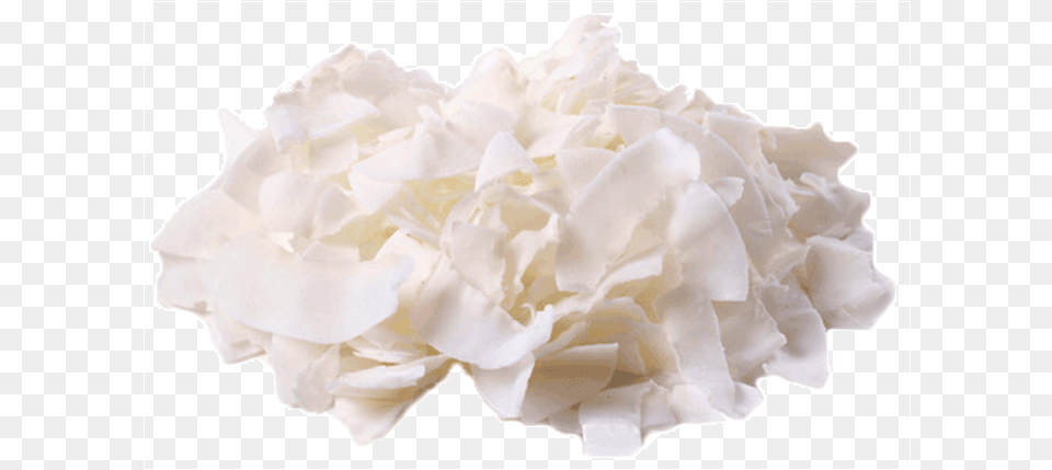 Amzul Tender Coconut Chips We Got Nuts Coconut Flakes 1 Lb Bag, Paper, Flower, Petal, Plant Png